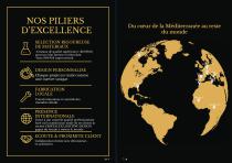 Professional Catalog-4