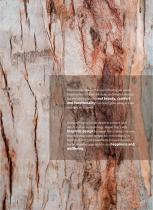 LuxWood Wood Veneer SPC Flooring-6
