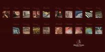 Catalogue 1-3