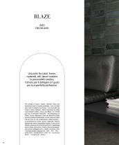 BLAZE - 12