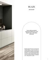 BLAZE - 7