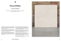 Pietra di Bilbao-5