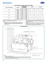 19DV - 10