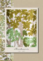 JARDINS SECRETS-32
