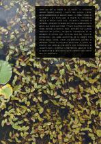 JARDINS SECRETS-5