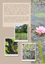 JARDINS SECRETS-9