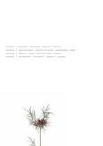 DreamFactory-10