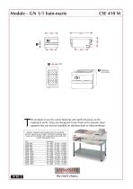 MODULE - ELECTRIC - 2