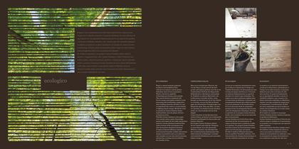 Brochure-4