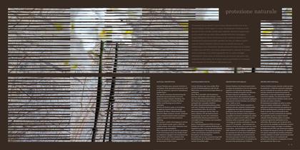 Brochure-6
