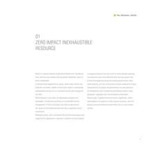 Cat_VerdeOriginale-13