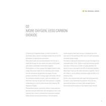 Cat_VerdeOriginale-15