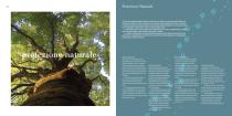 Outdoor Catalog-13