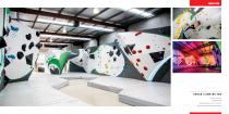 Walltopia Climbing Walls Portfolio - 31