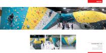 Walltopia Climbing Walls Portfolio - 40