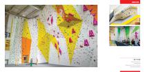 Walltopia Climbing Walls Portfolio - 43