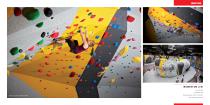 Walltopia Climbing Walls Portfolio - 44