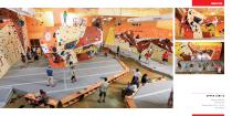 Walltopia Climbing Walls Portfolio - 48