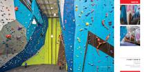 Walltopia Climbing Walls Portfolio - 9