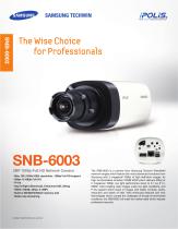 SNB-6003-1