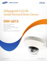 SNV-6013-1
