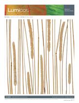 Cattail-2