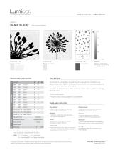 DANDI BLACK ?-1
