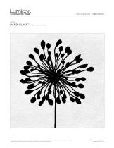 DANDI BLACK ?-2