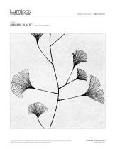 FANFARE BLACK ?-2