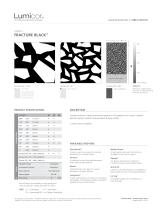 FRACTURE BLACK ?-1