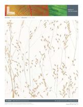 Meadow-2
