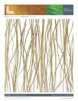 PrairieGrass-2