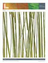 Seaweed-2
