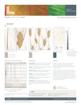 Wheat-1