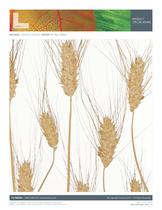 Wheat-2