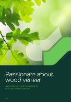 Decospan veneer guide-1