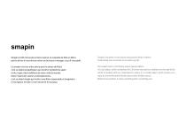 smapin-2