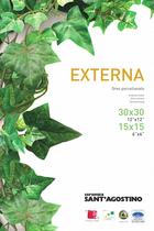 EXTERNA - 3