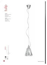 TULIP-2