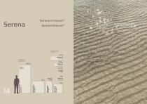 Synchrony Cersaie 2024-9