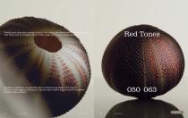 RODA | MISSONI Catalogue 2025-27