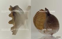 RODA | MISSONI Catalogue 2025-6