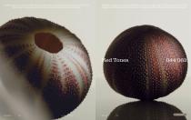 RODA | MISSONI Catalogue 2026-24