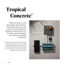 Catalog Collections 2024-10