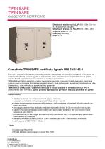 TWIN SAFE-1
