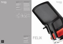 Felix-1