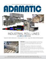 INDUSTRIAL ROLL LINES-1