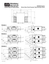 PS528 Gas - 2