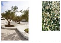 GREEN CITY-12