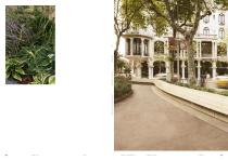 GREEN CITY-14